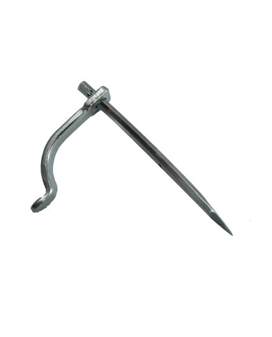 SIDRO ZIDARSKO POPAR 20 cm