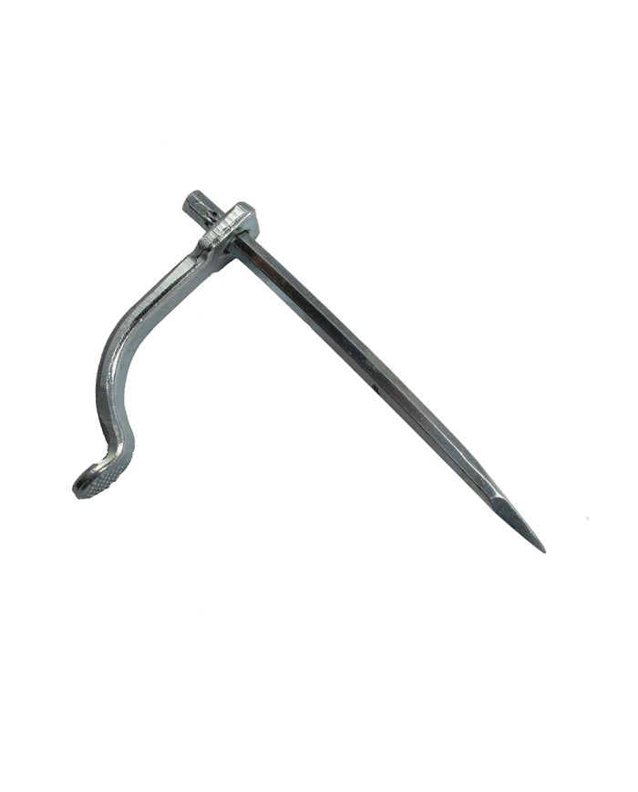 SIDRO ZIDARSKO POPAR 20 cm