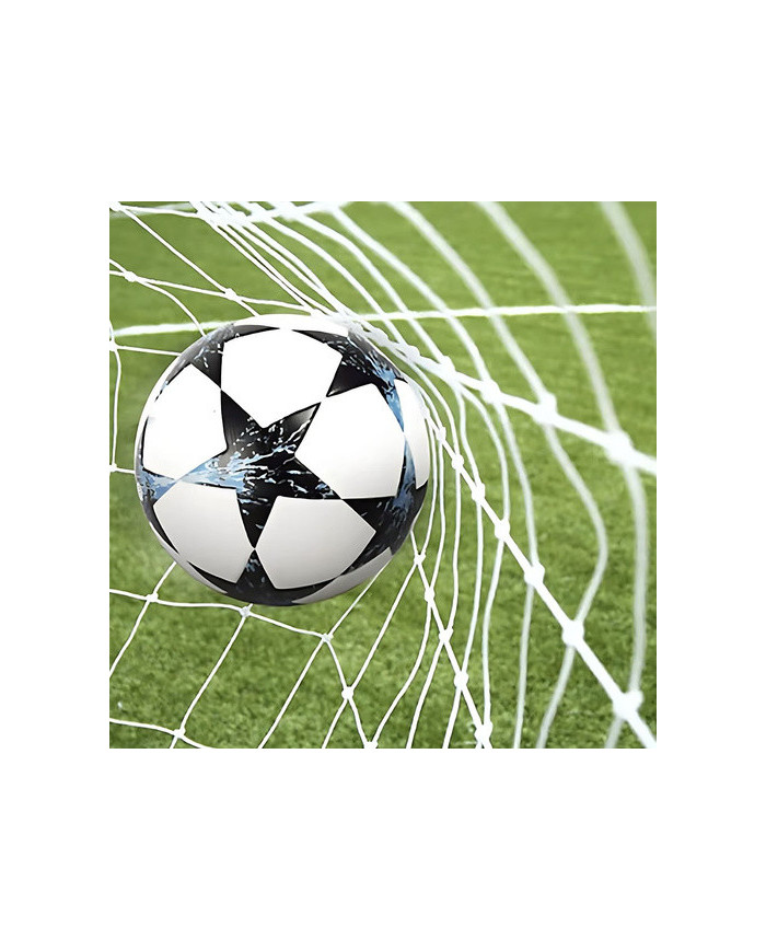 Mreža za nogometni gol