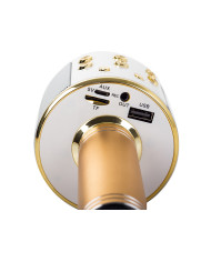 Karaoke zlati mikrofon zvočnik