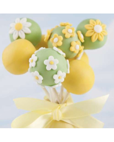 Silikonski kalup za izdelavo piškotov in popcaksov