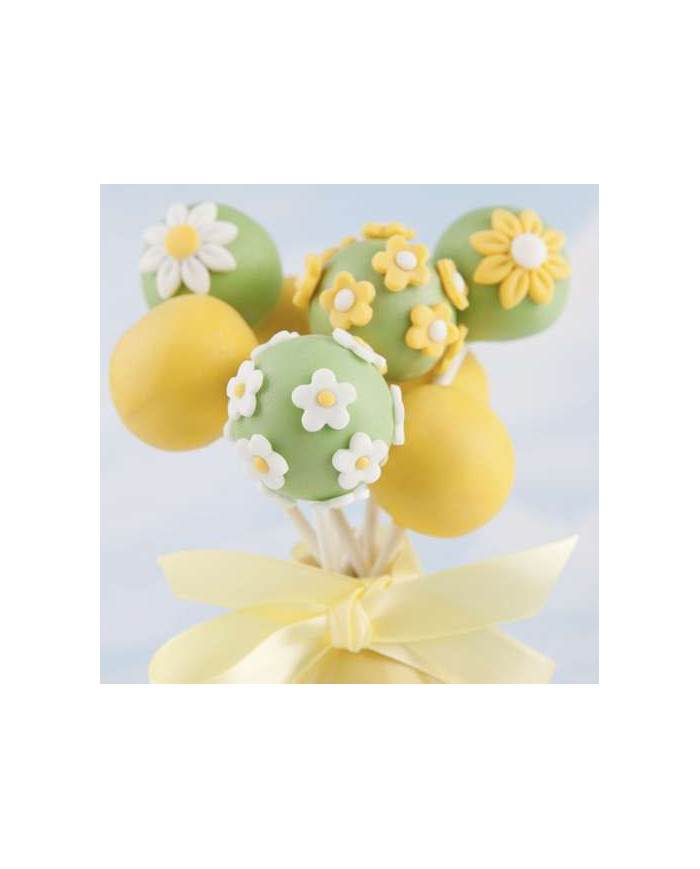 Silikonski kalup za izdelavo piškotov in popcaksov