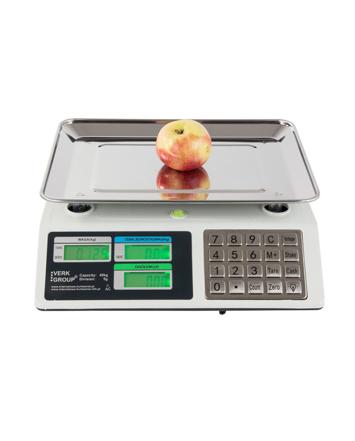 Digitalna tehtnica inox