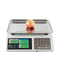 Digitalna tehtnica inox